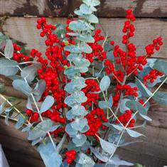 A Very Berry Christmas