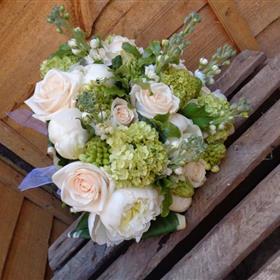 fwthumbdsc00327.jpg